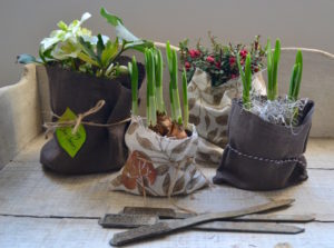 12 Days of Making (5) Gifting plants